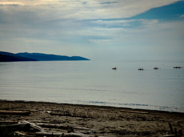 Kayak de mer à Gaspé