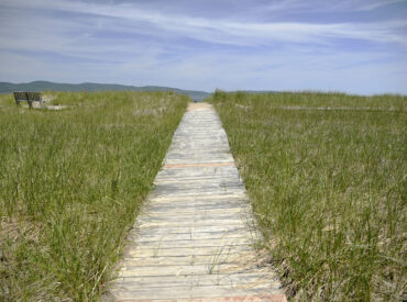 La promenade de la plage de Haldimand