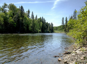 La rivière York