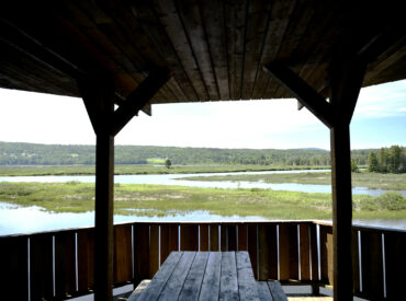 Le site d’observation de la rivière York