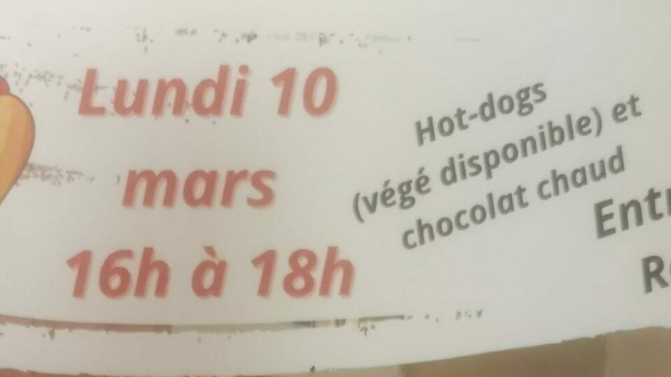 Activité hot-dog et chocolat chaud